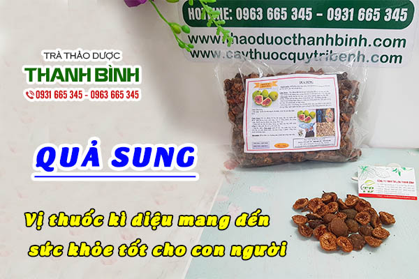 Giới thiệu dược tính của quả sung