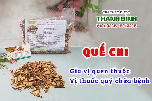 Bài thuốc quý từ quế chi