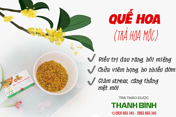 Những công dụng trị bệnh của quế hoa