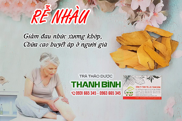 Đặc điểm nhận biết rễ nhàu