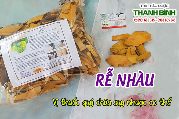 Rễ nhàu trị bệnh gì?