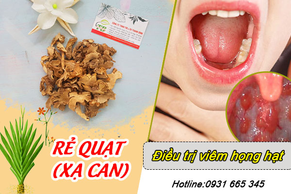 Những công dụng của cây rẻ quạt (xạ can)