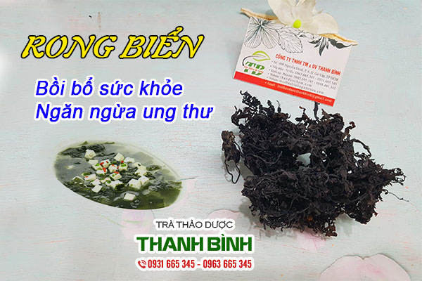 Giới thiệu đặc điểm rong biển