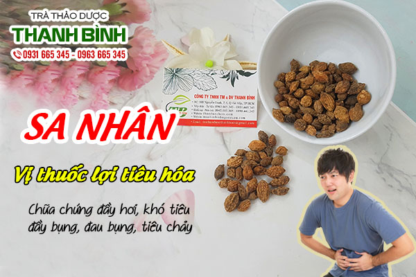 Đặc điểm dược liệu sa nhân