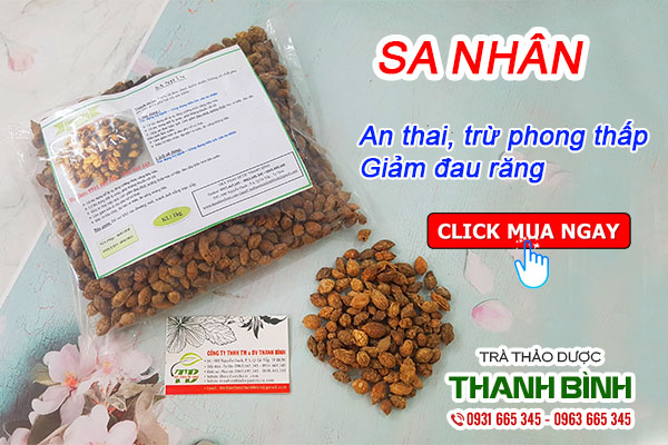 Công dụng trị bệnh của sa nhân