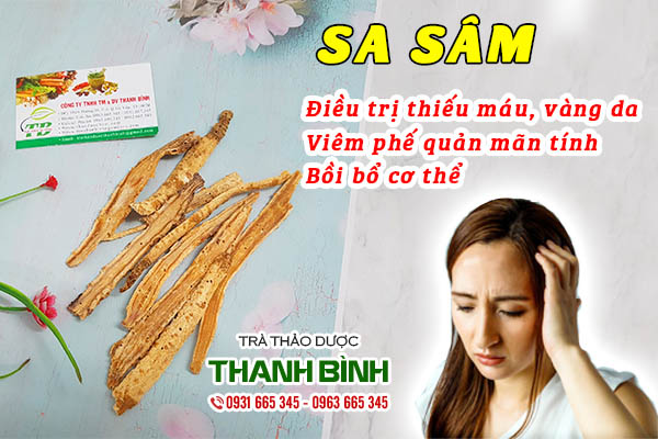 Đặc điểm nhận biết sa sâm