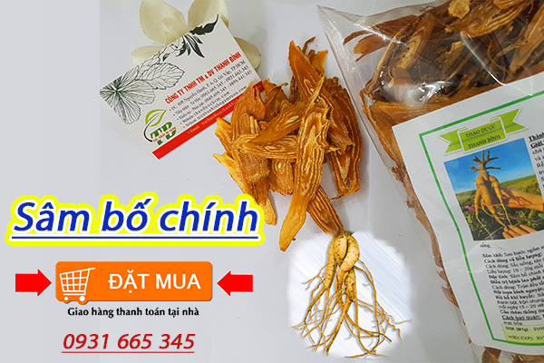 Cách sử dụng sâm bố chính hiệu quả