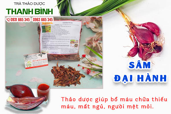 Giới thiệu đặc điểm về sâm đại hành