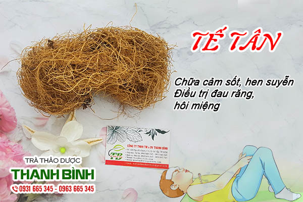 Tế tân và đặc tính dược liệu