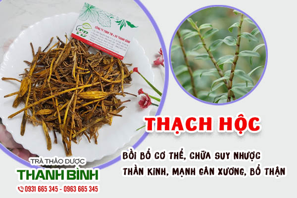 Giới thiệu dược liệu thạch hộc