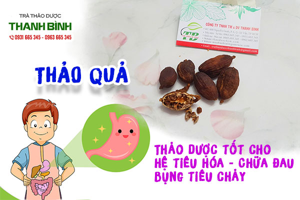 thảo quả