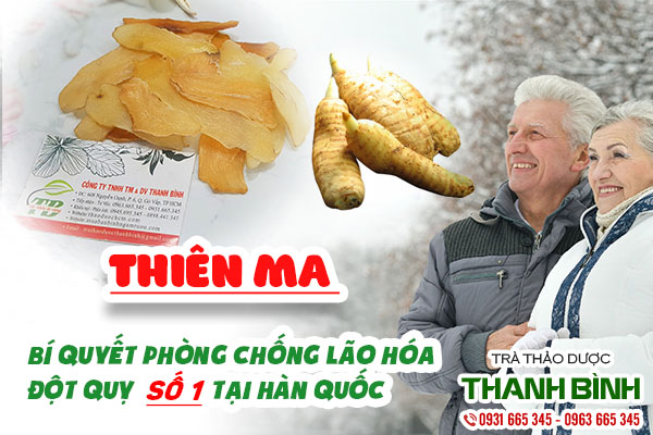 thiên ma 