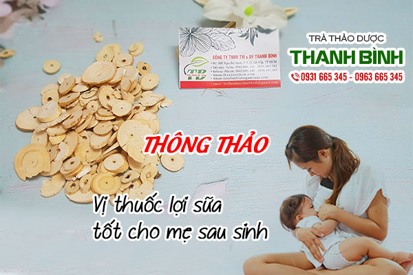 thông thảo