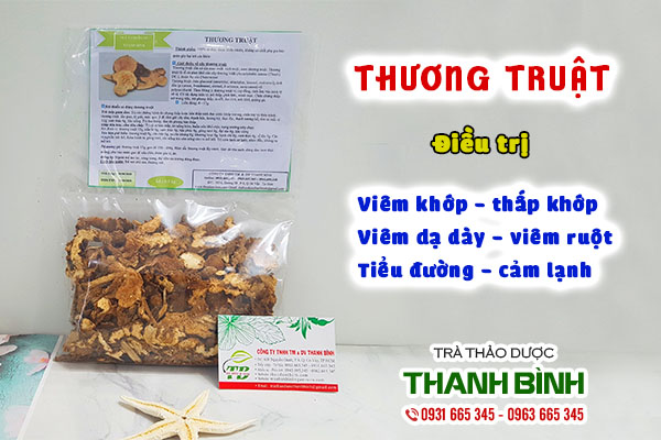 thương truật