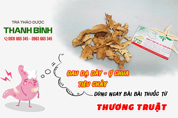 thương truật