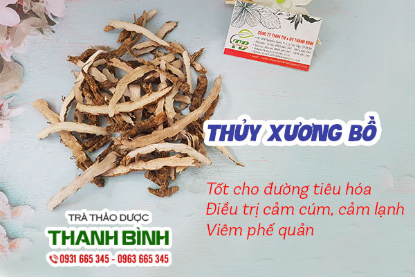 thủy xương bồ