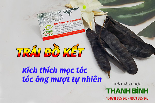 trái bồ kết