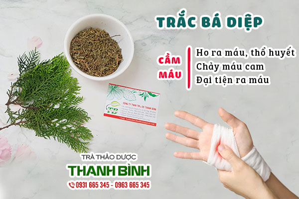 trắc bá diệp