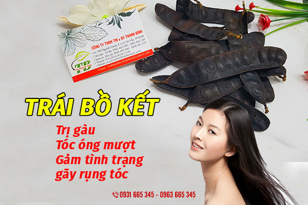 trái bồ kết