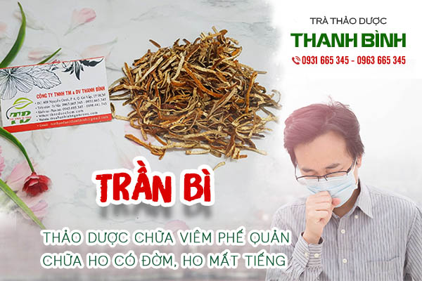 trần bì