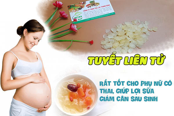 tuyết liên tử