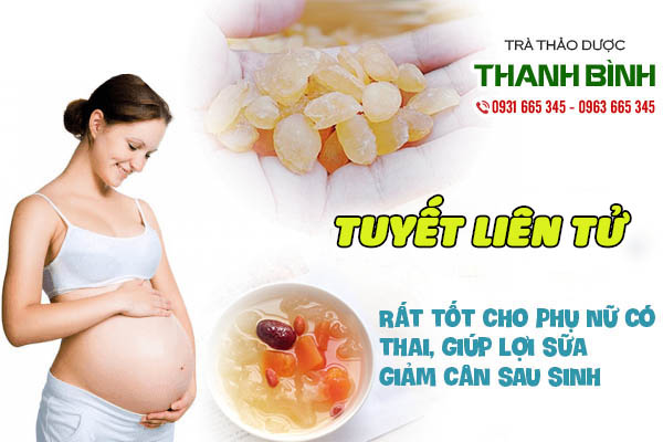 Một số công dụng tuyệt vời của tuyết liên tử (Hạt bồ mễ) Một số công dụng tuyệt vời của tuyết liên tử (Hạt bồ mễ)