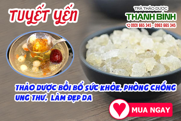 Tuyết yến là gì? Công dụng và cách dùng tuyết yến