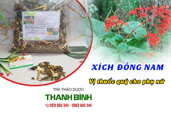 xích đồng nam