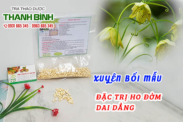 xuyên bối mẫu