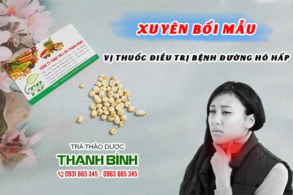 xuyên bối mẫu