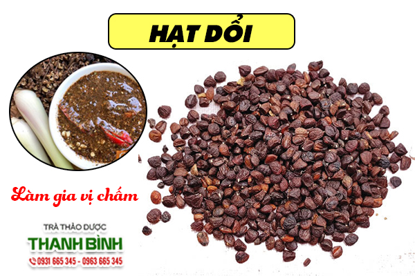 Công dụng từ hạt dổi
