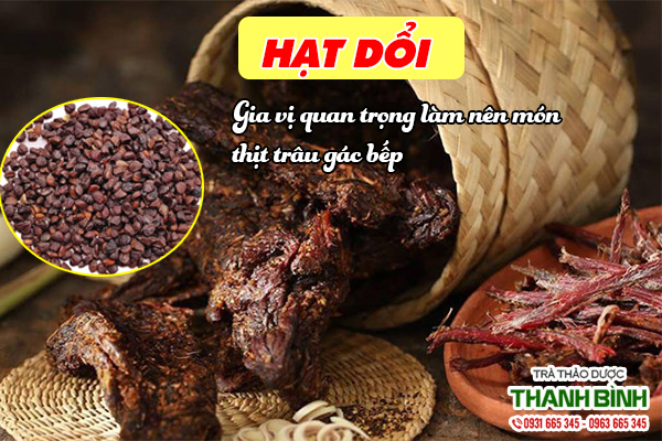 Gia vị từ hạt dối