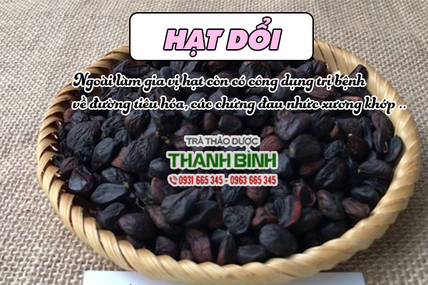 Mua hạt dổi uy tín tại Thảo dược Thanh Bình