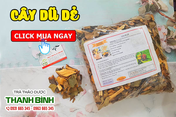Dũ dẻ chất lượng tại Thảo dược Thanh Bình