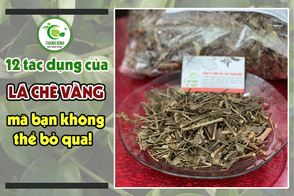 Uống trà chè vằng sau sinh giúp lợi sữa giảm cân