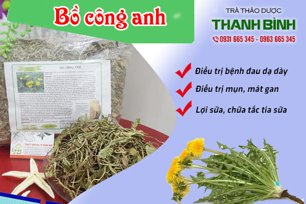 Một số bài thuốc chữa bệnh từ bồ công anh