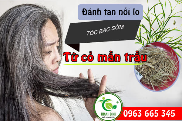 Cách sử dụng cỏ mần trầu trị tóc bạc hiệu quả