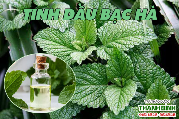 Hình ảnh tinh dầu bạc hà uy tín - Thảo dược Thanh Bình
