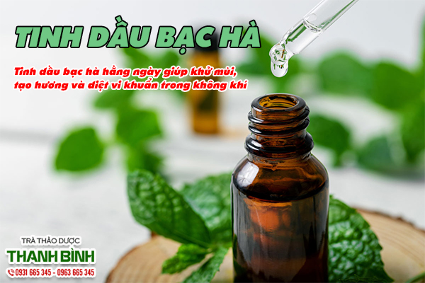 Mua tính dầu bạc hà giá rẻ tại TP.HCM