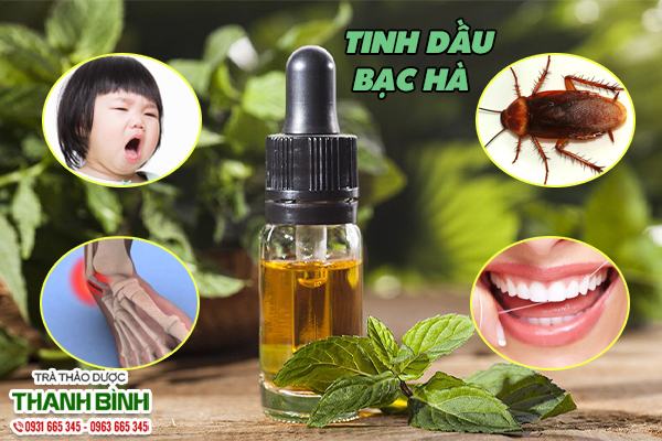 Một số công dụng của tinh dầu bạc hà