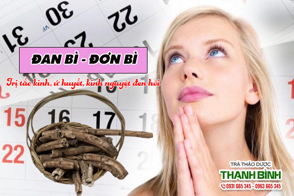 Đan bì trị tắc kinh, ứ kinh, kinh nguyệt ra đen hôi