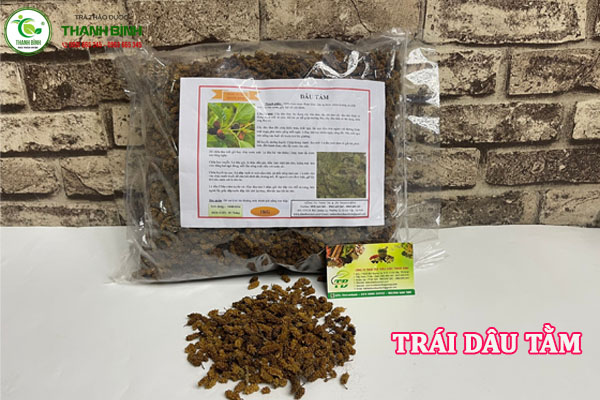 Mua bán cây dâu tằm chất lượng nhất tại TPHCM