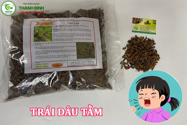 Mua bán cây dâu tằm chất lượng nhất tại TPHCM