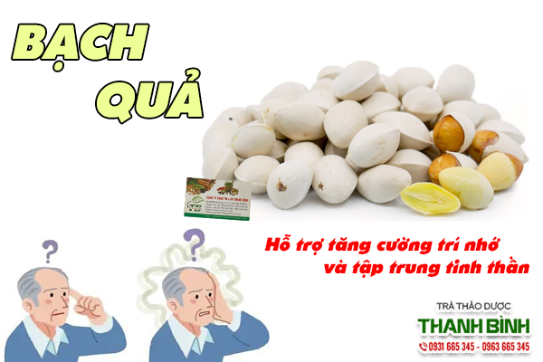 Quả bạch quả có tác dụng bổ não cho người già