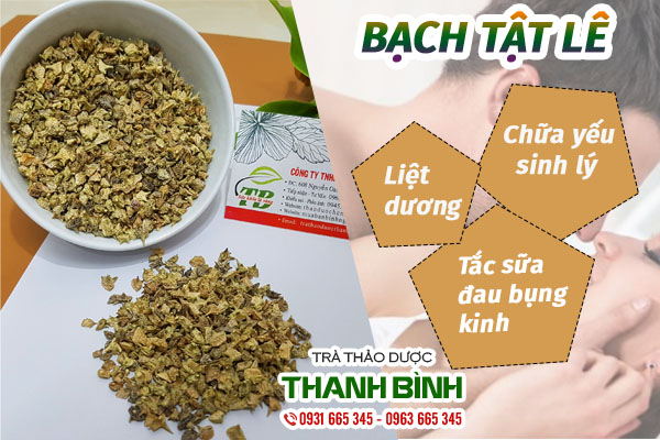 Bạch tật lê thu hái tự nhiên tại Thảo dược Thanh Bình