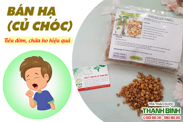 Bài thuốc trị ho từ bán hạ