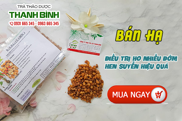 Dược liệu bán hạ được thu hái tự nhiên tại Thảo dược Thanh Bình