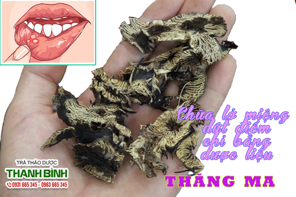 Mua thăng ma ở đâu tại TP. HCM??? Thăng ma thảo dược Thanh Bình