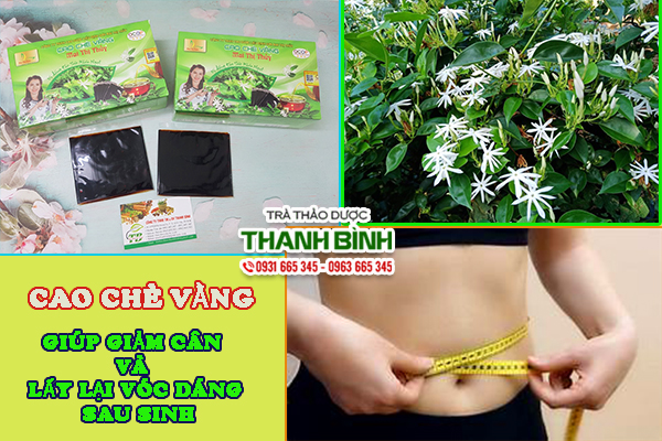 Một số công dụng của cao chè vằng