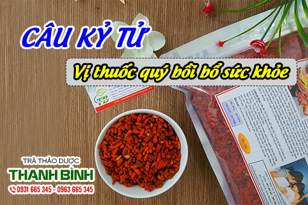 Câu kỷ tử chất lượng tại thảo dược Thanh Bình